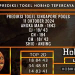 PREDIKSI TOGEL SINGAPORE 11/OKTOBER/2024