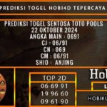 PREDIKSI TOGEL SENTOSATOTO 22/OKTOBER/2024