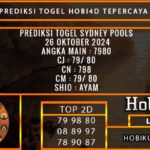 PREDIKSI TOGEL SYDNEY 26/OKTOBER/2024