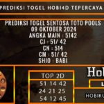 PREDIKSI TOGEL SENTOSA TOTO 09/OKTOBER/2024