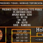 PREDIKSI TOGEL SENTOSATOTO 25/OKTOBER/2024