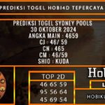 PREDIKSI TOGEL SYDNEY 30/OKTOBER/2024