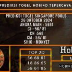 PREDIKSI TOGEL SINGAPORE 26/OKTOBER/2024