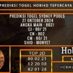 PREDIKSI TOGEL SYDNEY 27/OKTOBER/2024