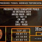 PREDIKSI TOGEL SINGAPORE 30/OKTOBER/2024