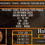 PREDIKSI TOGEL SENTOSATOTO 29/OKTOBER/2024