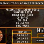 PREDIKSI TOGEL SYDNEY 31/OKTOBER/2024