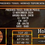 PREDIKSI TOGEL DUBLIN 12/NOVEMBER/2024