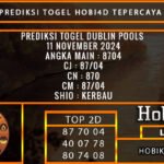 PREDIKSI TOGEL DUBLIN 11/NOVEMBER/2024