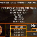 PREDIKSI TOGEL SENTOSATOTO 09/NOVEMBER/2024