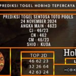 PREDIKSI TOGEL SENTOSATOTO 24/NOVEMBER/2024