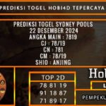 PREDIKSI TOGEL SYDNEY 22/DESEMBER/2024