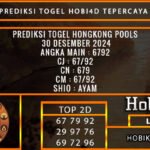 PREDIKSI TOGEL HONGKONG 30/DESEMBER/2024