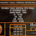 PREDIKSI TOGEL SENTOSATOTO 07/DESEMBER/2024