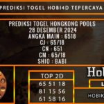 PREDIKSI TOGEL HONGKONG 28/DESEMBER/2024