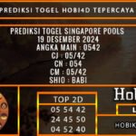 PREDIKSI TOGEL SINGAPORE 19/DESEMBER/2024