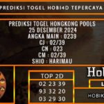 PREDIKSI TOGEL HONGKONG 25/DESEMBER/2024