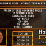 PREDIKSI TOGEL HONGKONG 12/DESEMBER/2024