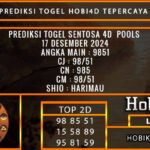 PREDIKSI TOGEL SENTOSA4D 17/DESEMBER/2024