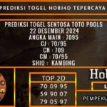 PREDIKSI TOGEL SENTOSATOTO 22/DESEMBER/2024