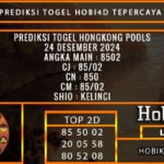 PREDIKSI TOGEL HONGKONG 24/DESEMBER/2024