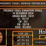 PREDIKSI TOGEL SINGAPORE 15/DESEMBER/2024