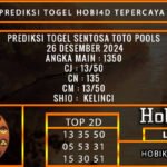 PREDIKSI TOGEL SENTOSATOTO 26/DESEMBER/2024