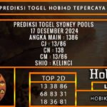 PREDIKSI TOGEL SYDNEY 17/DESEMBER/2024