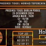 PREDIKSI TOGEL DUBLIN 25/DESEMBER/2024