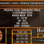 PREDIKSI TOGEL HONGKONG 13/DESEMBER/2024
