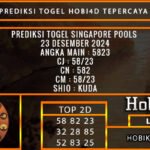 PREDIKSI TOGEL SINGAPORE 24/DESEMBER/2024