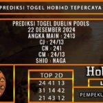 PREDIKSI TOGEL DUBLIN 22/DESEMBER/2024