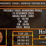 PREDIKSI TOGEL HONGKONG 23/DESEMBER/2024