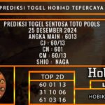 PREDIKSI TOGEL SENTOSATOTO 25/DESEMBER/2024