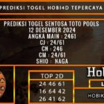 PREDIKSI TOGEL SENTOSATOTO 12/DESEMBER/2024