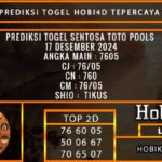 PREDIKSI TOGEL SENTOSATOTO 17/DESEMBER/2024