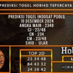 PREDIKSI TOGEL INDOSAT 10/DESEMBER/2024