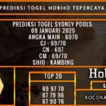PREDIKSI TOGEL SYDNEY POOLS 08 JANUARI 2025