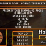 PREDIKSI TOGEL SENTOSA POOLS 12 JANUARI 2025