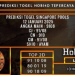 PREDIKSI TOGEL SINGAPORE POOLS 12 JANUARI 2025