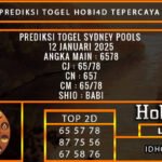 PREDIKSI TOGEL SYDNEY POOLS 12 JANUARI 2025