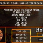 PREDIKSI TOGEL TRAVELOKA POOLS 12 JANUARI 2025