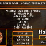 PREDIKSI TOGEL DUBLIN POOLS 21 JANUARI 2025