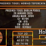 PREDIKSI TOGEL DUBLIN POOLS 28 JANUARI 2025