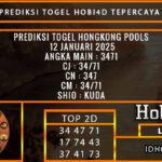 PREDIKSI TOGEL HONGKONG POOLS 12 JANUARI 2025