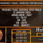 PREDIKSI TOGEL SENTOSATOTO POOLS 12 JANUARI 2025