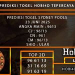 PREDIKSI TOGEL SYDNEY POOLS 23 JUNI 2025