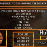 PREDIKSI TOGEL NEWGUINEA POOLS 08 JUNI 2025