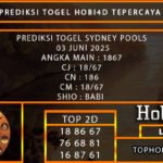 PREDIKSI TOGEL SYDNEY POOLS 03 JUNI 2025