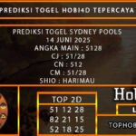 PREDIKSI TOGEL SYDNEY POOLS 14 JUNI 2025